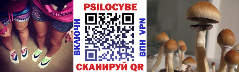 Псилоцибиновые грибы ЛСД  купить закладку  Голицыно 
